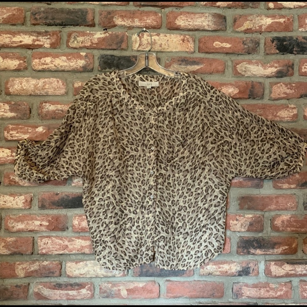 Ann Taylor Loft